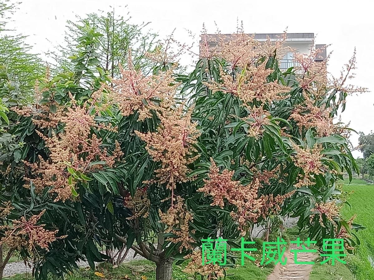 兰卡威罗东庭园民宿 罗东镇 外观 照片