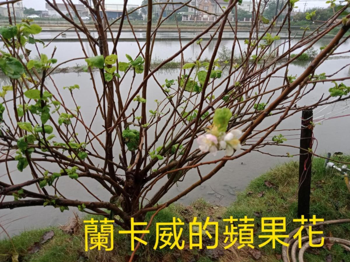兰卡威罗东庭园民宿 罗东镇 外观 照片